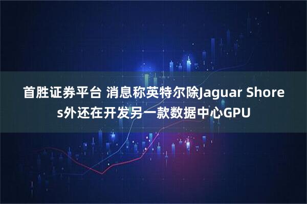 首胜证券平台 消息称英特尔除Jaguar Shores外还在开发另一款数据中心GPU