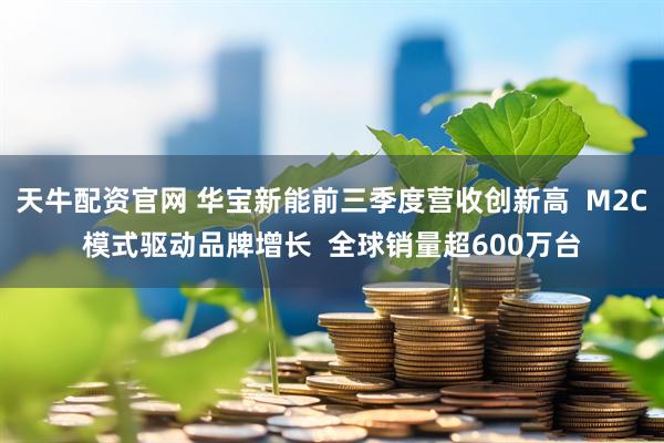天牛配资官网 华宝新能前三季度营收创新高  M2C模式驱动品牌增长  全球销量超600万台