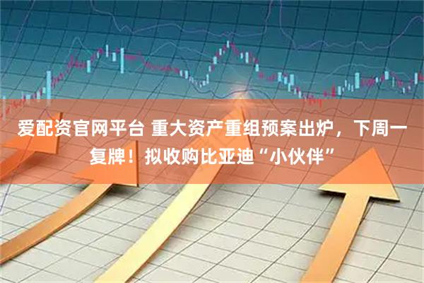 爱配资官网平台 重大资产重组预案出炉，下周一复牌！拟收购比亚迪“小伙伴”